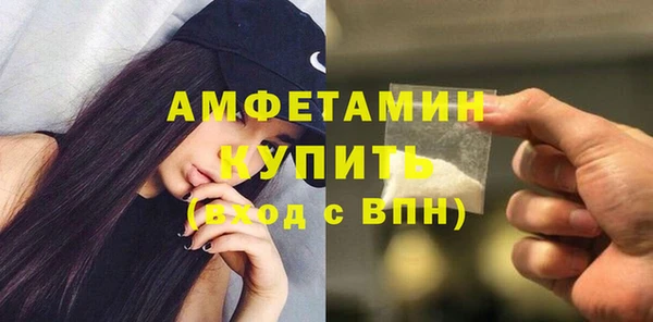 индика Кулебаки