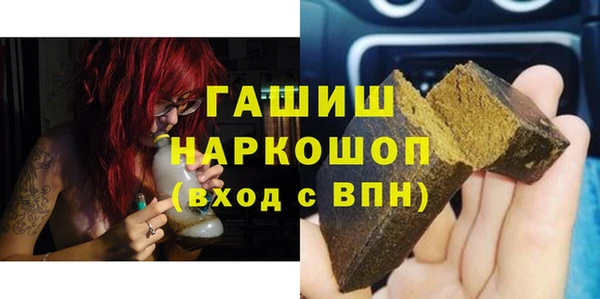индика Кулебаки