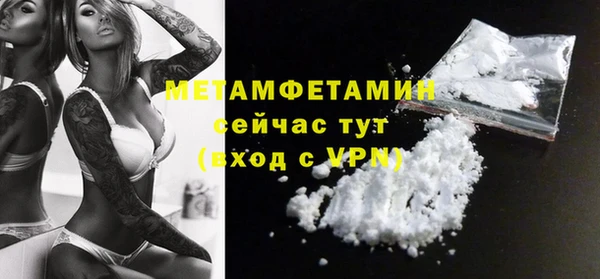 индика Кулебаки