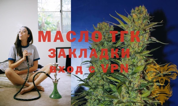 индика Кулебаки