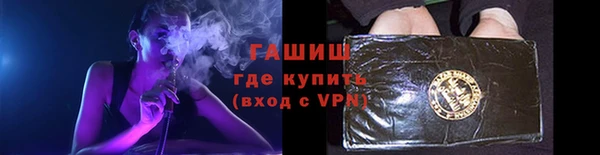 индика Кулебаки