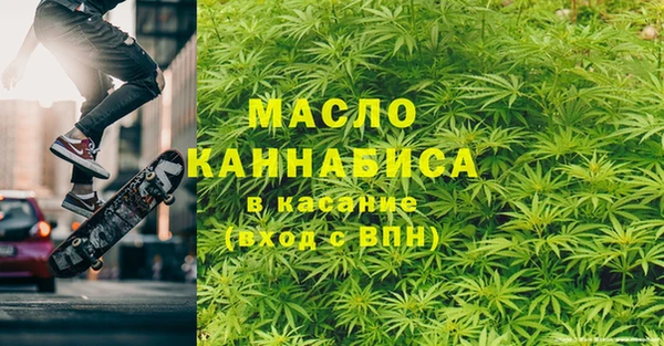 индика Кулебаки