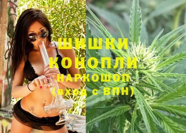 индика Кулебаки