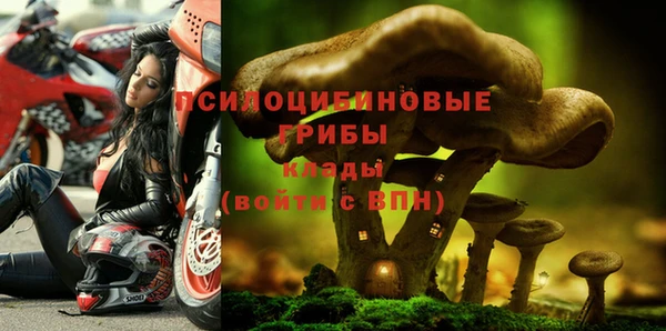 Альфа ПВП Куйбышев
