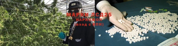 индика Кулебаки